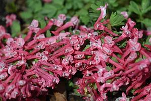 2025-04046224 Tower Hill Botanic Garden, MA